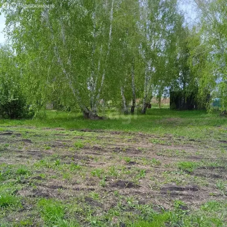 Участок в Бердск, СНТ Росинка, 15-я улица (10 м) - Фото 0