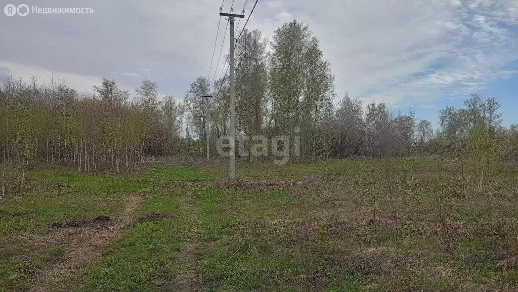 Участок в Первомайский район, село Санниково (11 м) - Фото 0