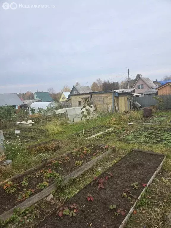 Дом в деревня Морово, СДТ Космос, 81 (20 м) - Фото 2