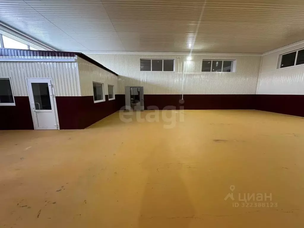 Помещение свободного назначения в Ямало-Ненецкий АО, Новый Уренгой ... - Фото 2