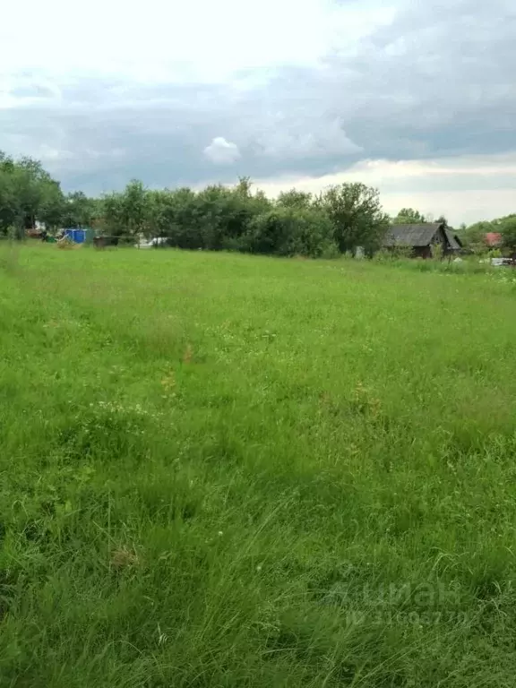 Участок в Владимирская область, Владимир с. Кусуново, ул. Центральная ... - Фото 0