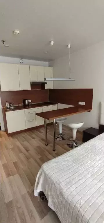 1-к кв. Санкт-Петербург ул. Хошимина, 16А (28.0 м) - Фото 0
