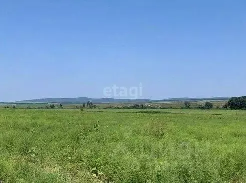 Участок в Краснодарский край, Новороссийск городской округ, ... - Фото 1