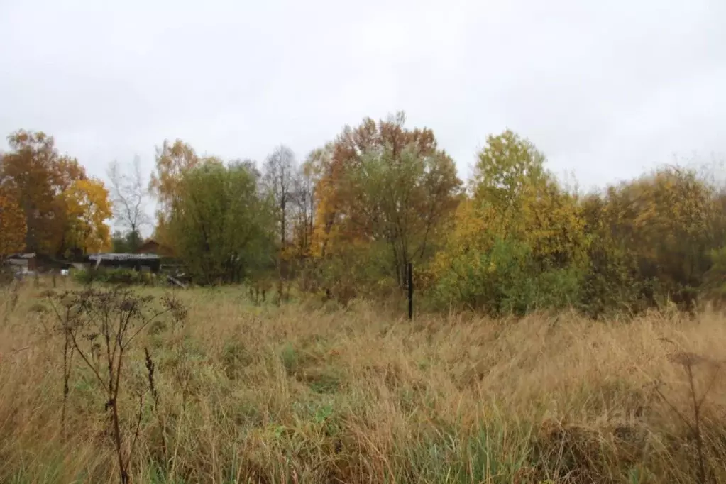 Участок в Московская область, Шаховская муниципальный округ, д. ... - Фото 1