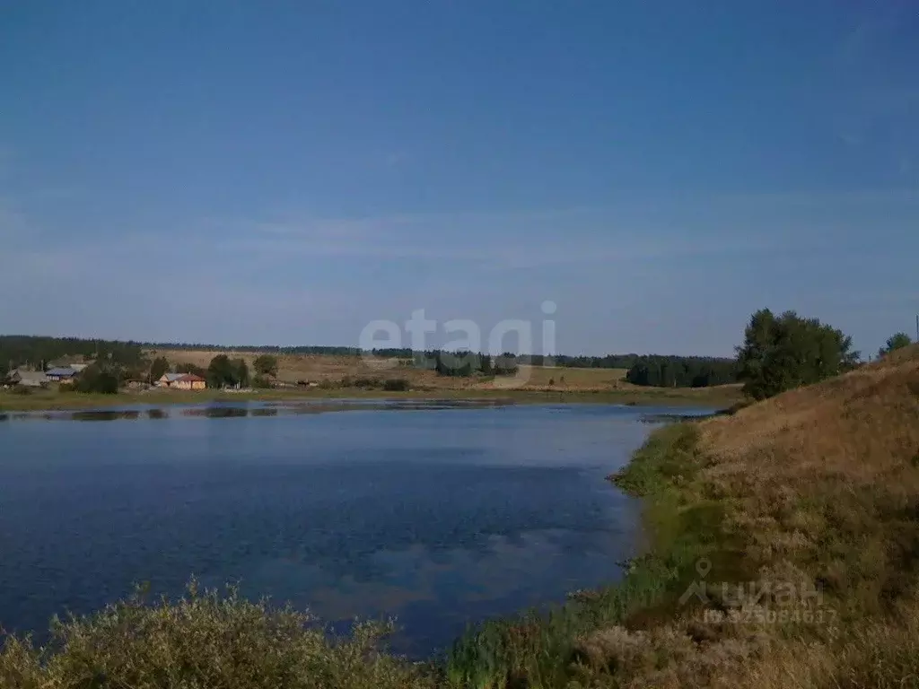 Участок в Пермский край, Кунгурский муниципальный округ, с. Калинино ... - Фото 1