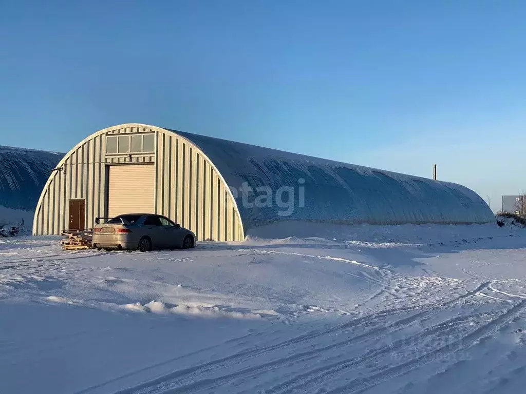 Помещение свободного назначения в Новосибирская область, Новосибирск ... - Фото 1