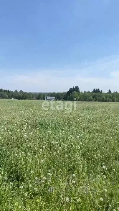 Участок в Пермский край, Краснокамский городской округ, пос. Ласьва  ... - Фото 1