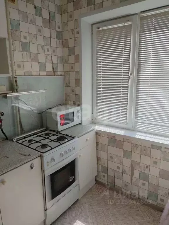 Студия Курская область, Курск ул. Серегина, 18Б (30.5 м) - Фото 1