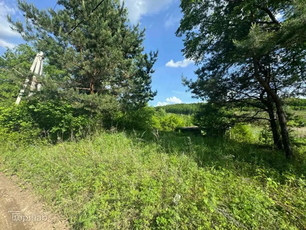 Участок в Амурская область, Благовещенск  (29.0 сот.) - Фото 1