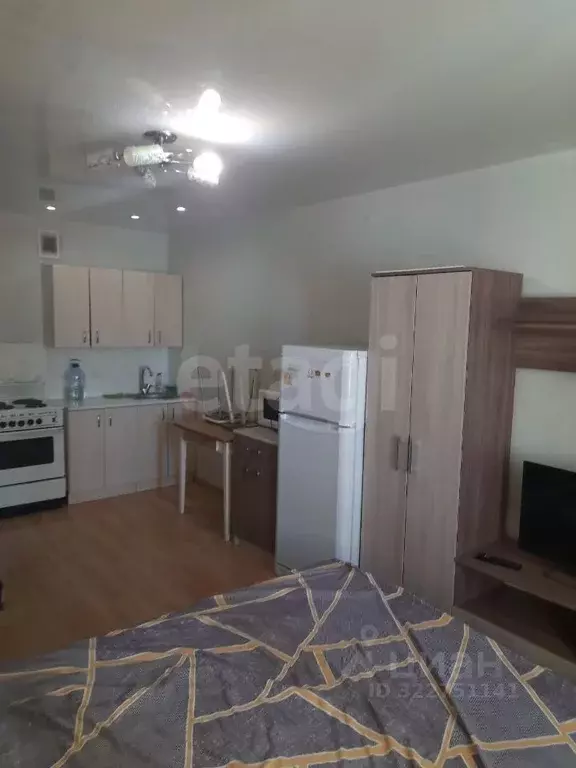 Студия Кировская область, Киров Московская ул., 121к1 (29.0 м) - Фото 2