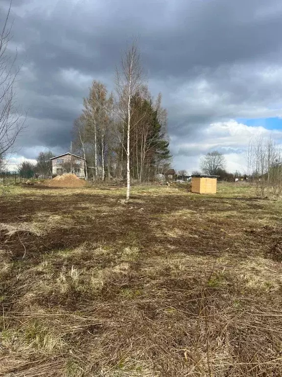 Участок в Ленинградская область, Приозерский район, Красноозерное ... - Фото 1