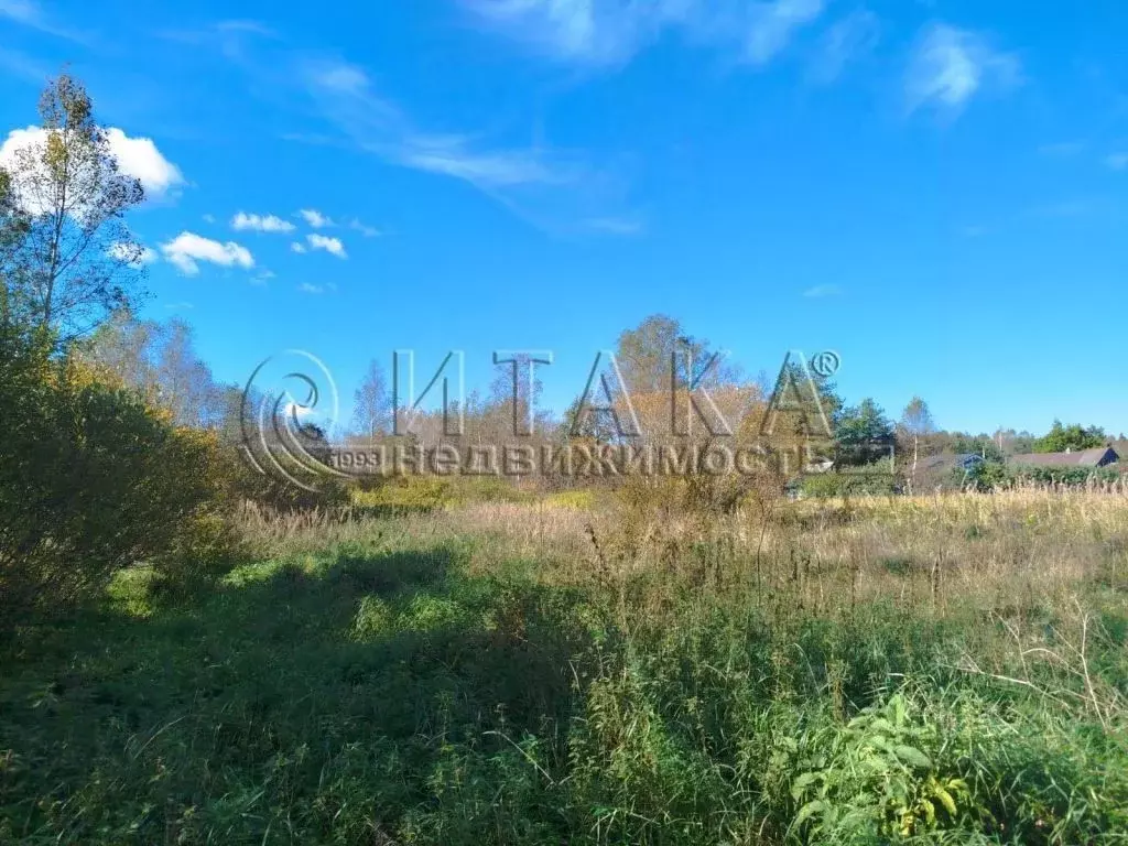 Участок в Ленинградская область, Лужский район, Толмачевское городское ... - Фото 1