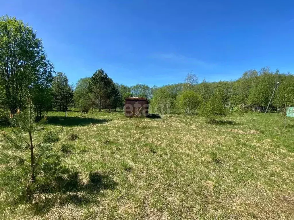 Участок в Ленинградская область, Волховский район, Колчановское с/пос, ... - Фото 1