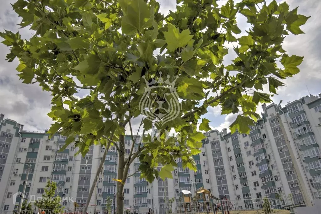 Продаётся 1-к квартира, 37.1 м - Фото 0
