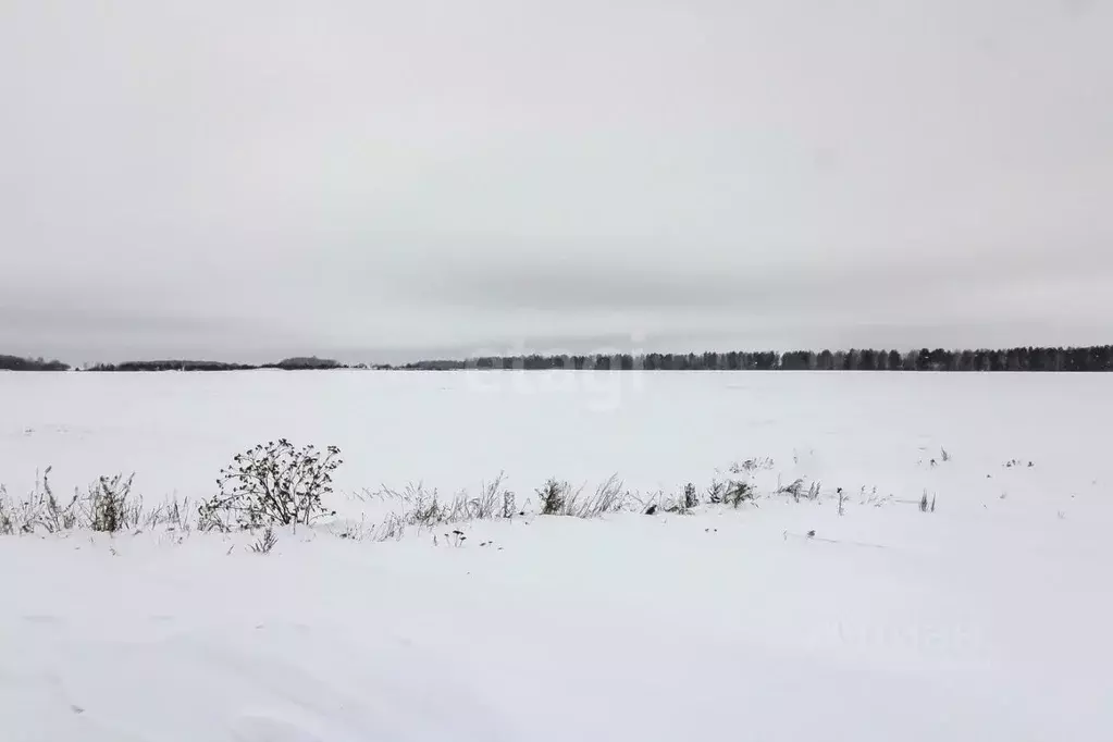 Участок в Тюменская область, Тюменский район, Новокаменский кп  (8.0 ... - Фото 0