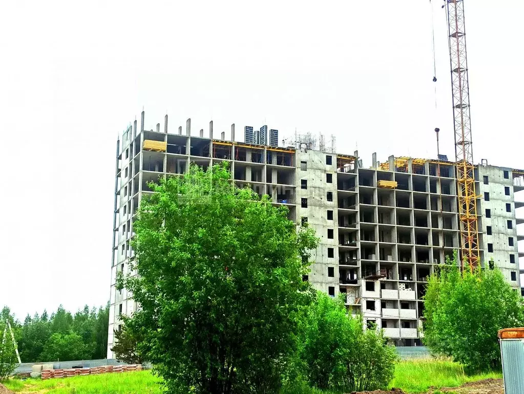 Студия Владимирская область, Владимир бул. Сталинградский, 5 (25.7 м) - Фото 0