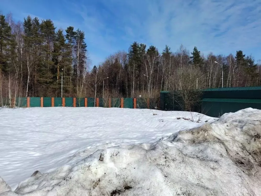 Участок в Москва д. Каменка, 524 (9.1 сот.) - Фото 2