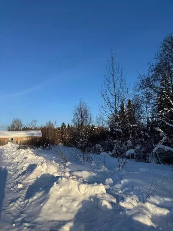Участок в Московская область, Солнечногорск городской округ, Лисичкин ... - Фото 1