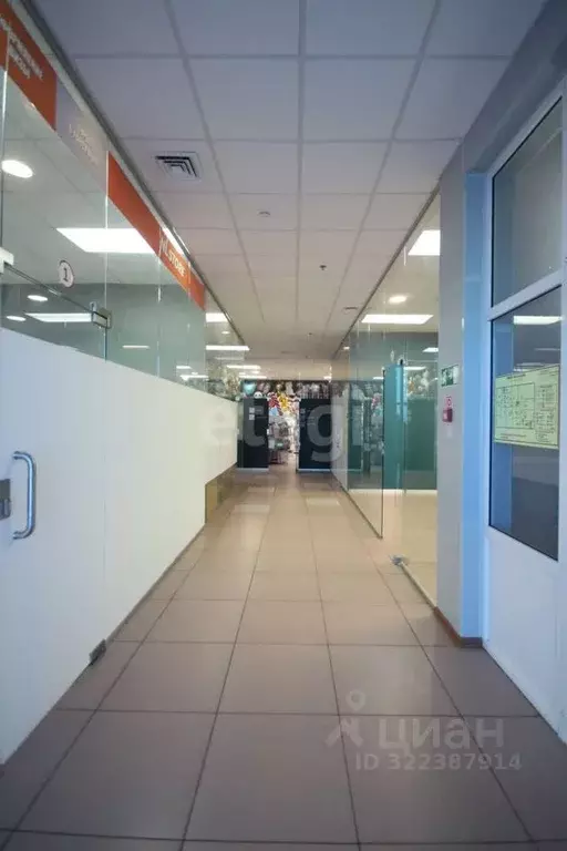 Торговая площадь в Ямало-Ненецкий АО, Новый Уренгой просп. Губкина, 9А ... - Фото 2