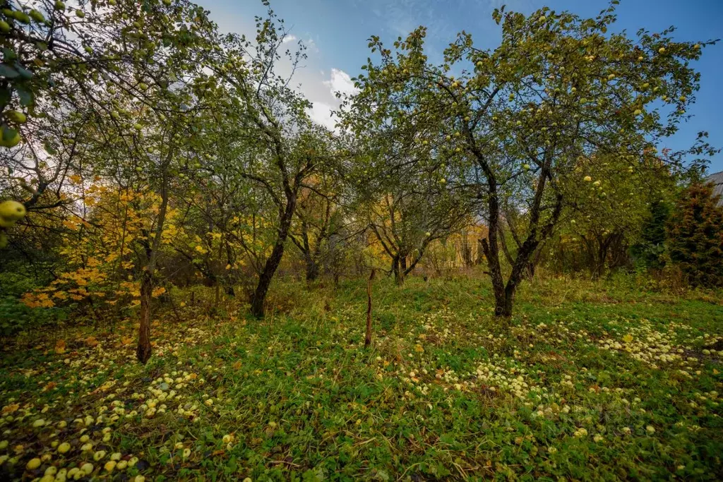 Участок в Санкт-Петербург пос. Парголово, Горная ул., 5 (24.0 сот.) - Фото 1