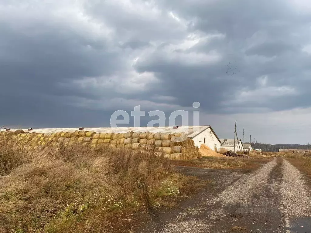 Производственное помещение в Красноярский край, Сухобузимский район, .,  Продажа производственных помещений Седельниково, Сухобузимский район, ID  объекта - 90003561516