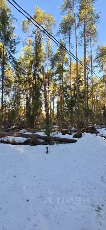 Участок в Ленинградская область, Всеволожск ул. Мужества, 30 (6.0 ... - Фото 0