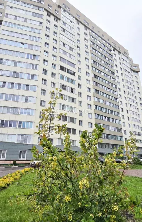 1-к кв. Московская область, Жуковский ул. Амет-хан Султана, 15к4 (64.4 ... - Фото 0