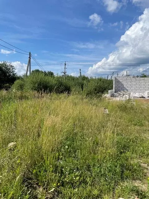 Участок в Новгородская область, Валдайское городское поселение, с. ... - Фото 1