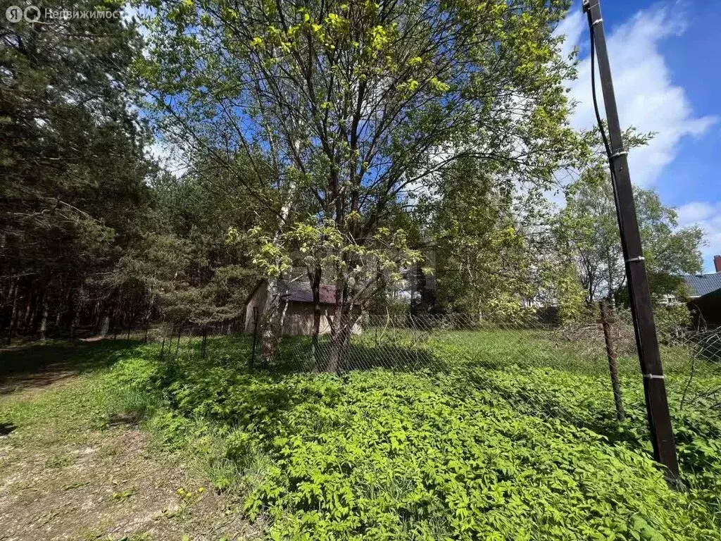 Участок в городской округ Калуга, деревня Крутицы, 3-й Лесной проезд ... - Фото 2
