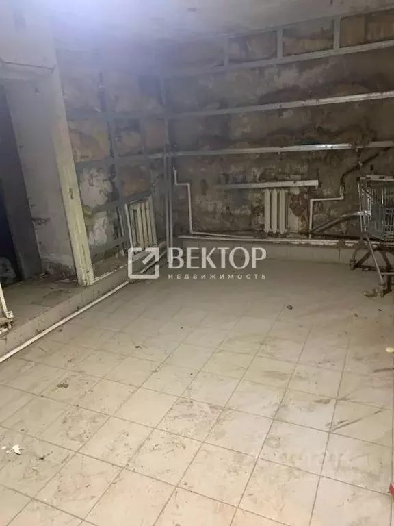 Помещение свободного назначения в Ярославская область, Ярославль пер. ... - Фото 2