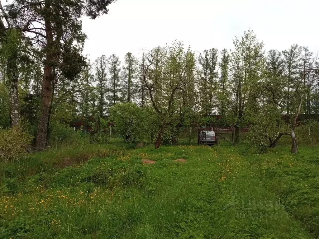 Купить Участок В Ленинградской Области Тосненский