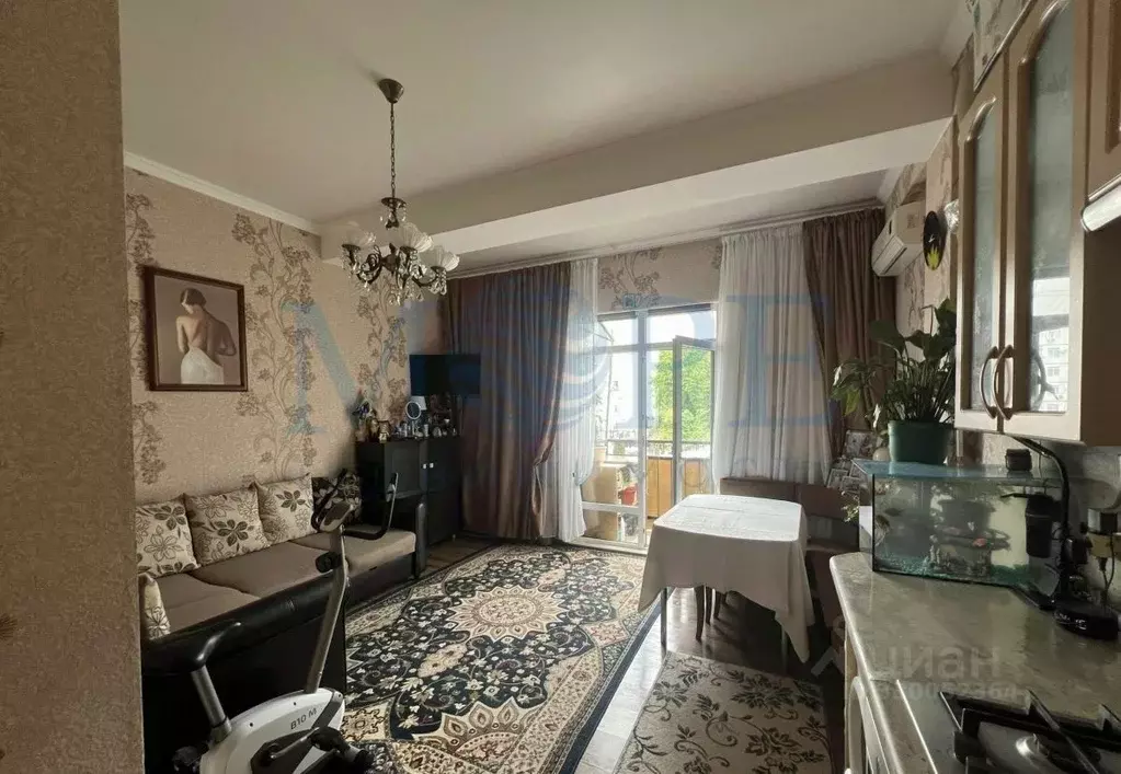 2-к кв. Краснодарский край, Сочи ул. Тимирязева, 25 (30.4 м) - Фото 1