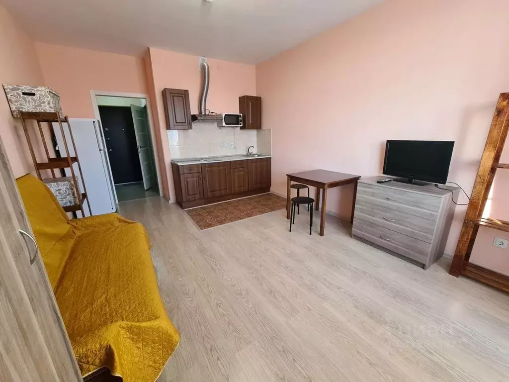 1-к кв. Санкт-Петербург пос. Шушары, ул. Вишерская, 2 (26.0 м) - Фото 1