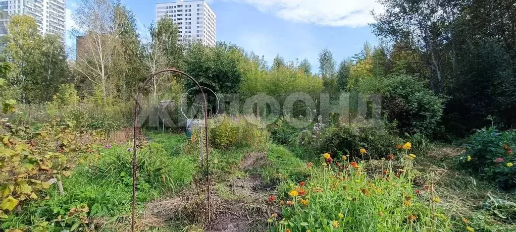 Участок в Новосибирская область, Новосибирск ул. Набережная Плющихи ... - Фото 2