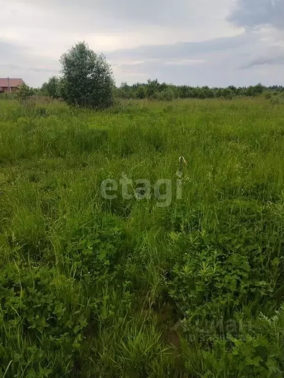 Участок в Ярославская область, Ярославский муниципальный округ, д. ... - Фото 1