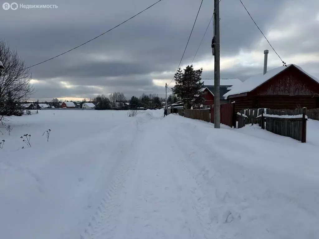 Участок в Владимирская область, Александровский муниципальный округ, ... - Фото 1