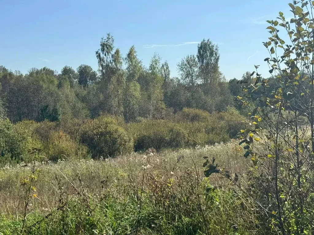 Участок в Московская область, Солнечногорск городской округ, д. Мостки ... - Фото 0
