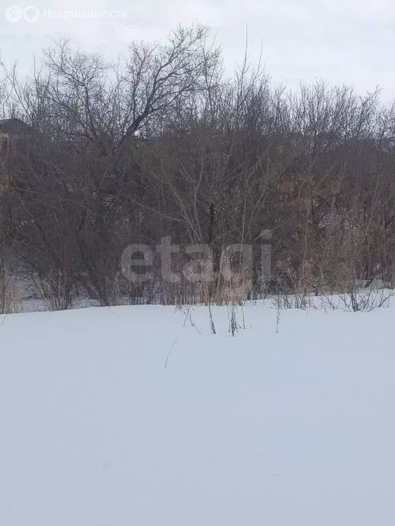 Участок в Белокуриха, Грибная улица (9.15 м) - Фото 1