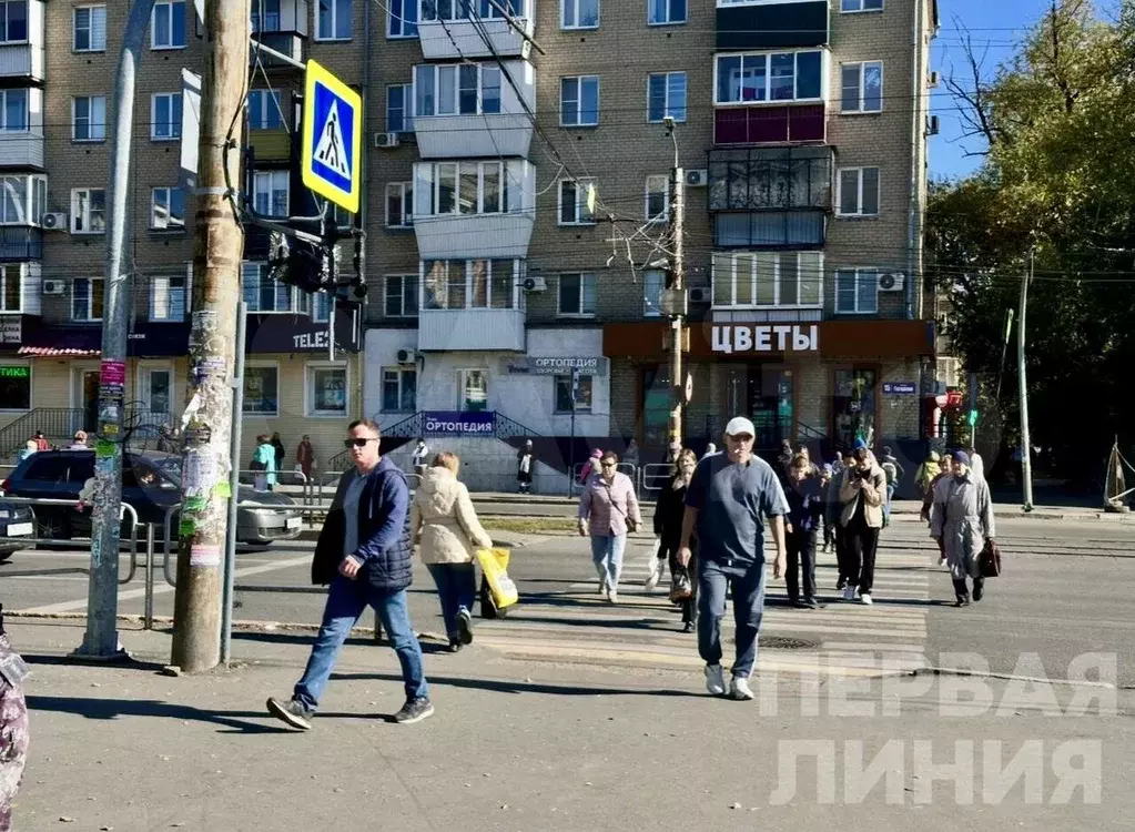 Трафик - Фото 1