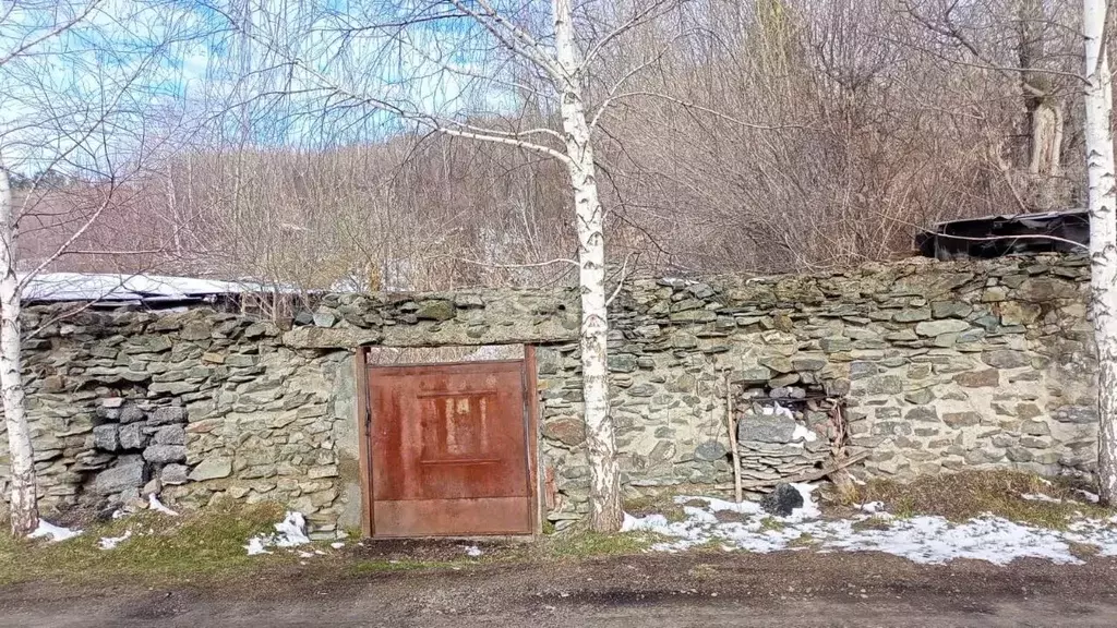 Участок в Алтайский край, Алтайский район, с. Алтайское ул. Горная ... - Фото 0