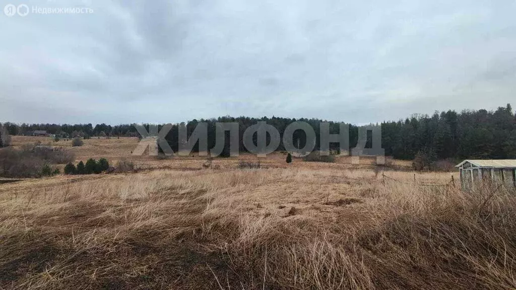 Дом в Томский район, деревня Плотниково, улица Соколова (39.4 м) - Фото 0