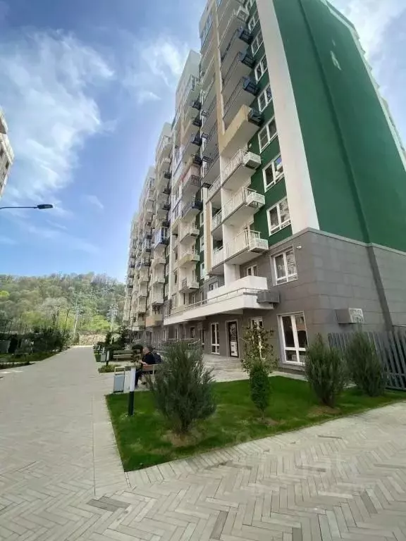 1-к кв. Краснодарский край, Сочи ул. Искры, 66/9 (25.0 м) - Фото 1