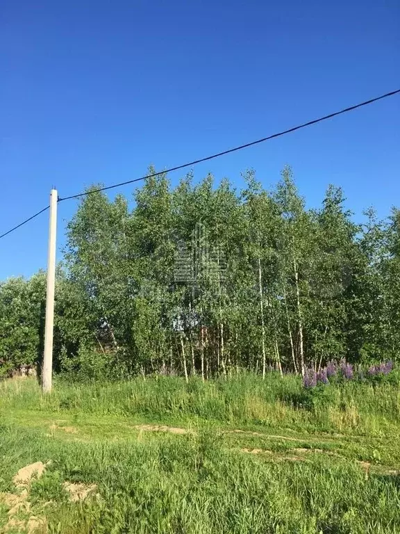 Участок 20 сот. (ИЖС) - Фото 1