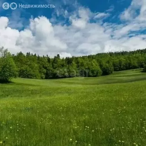 Участок в Новокузнецк, Куйбышевский район (20 м) - Фото 2