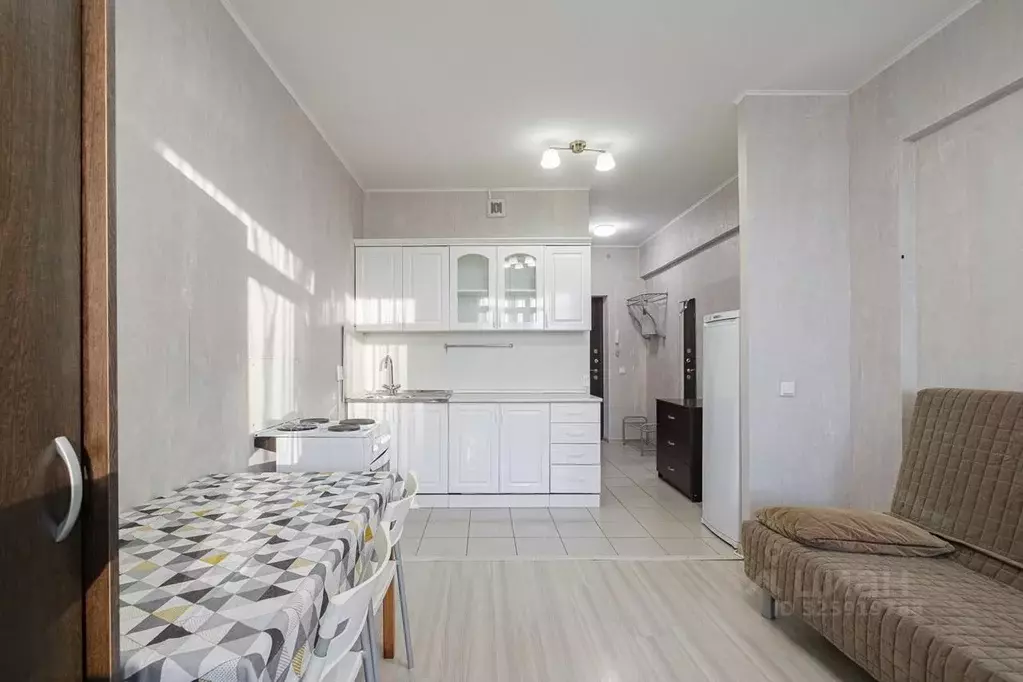 Студия Санкт-Петербург ул. Руставели, 60 (25.2 м) - Фото 1