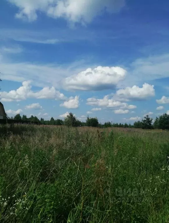 Участок в Московская область, Орехово-Зуевский городской округ, д. ... - Фото 1