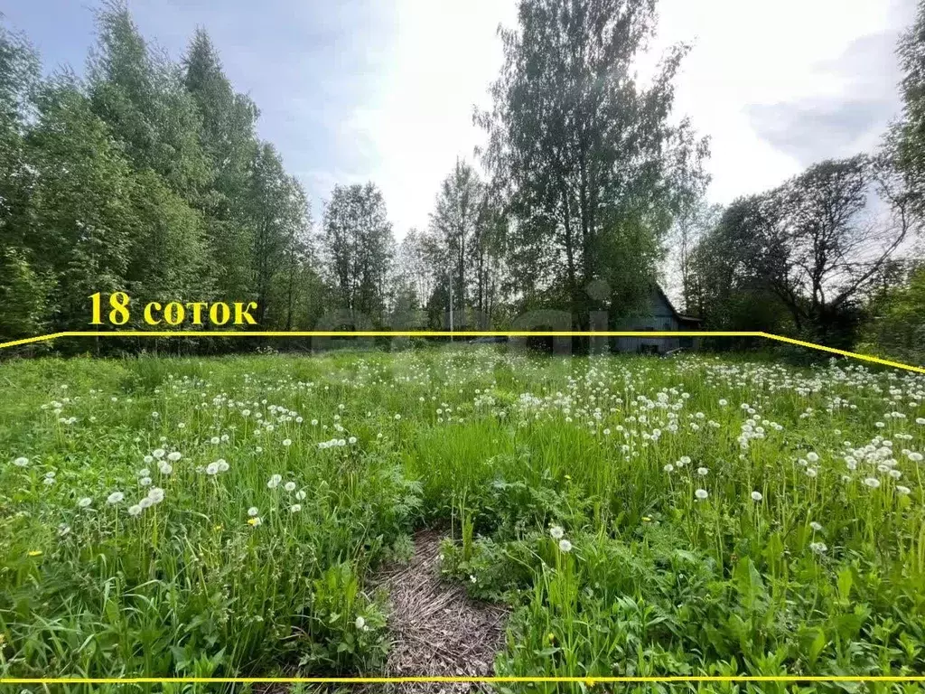 Участок в Вологодская область, Вологда Сохатый садоводческое ... - Фото 1