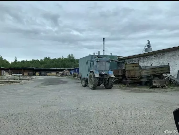 Производственное помещение в Вологодская область, Великоустюгский ... - Фото 2