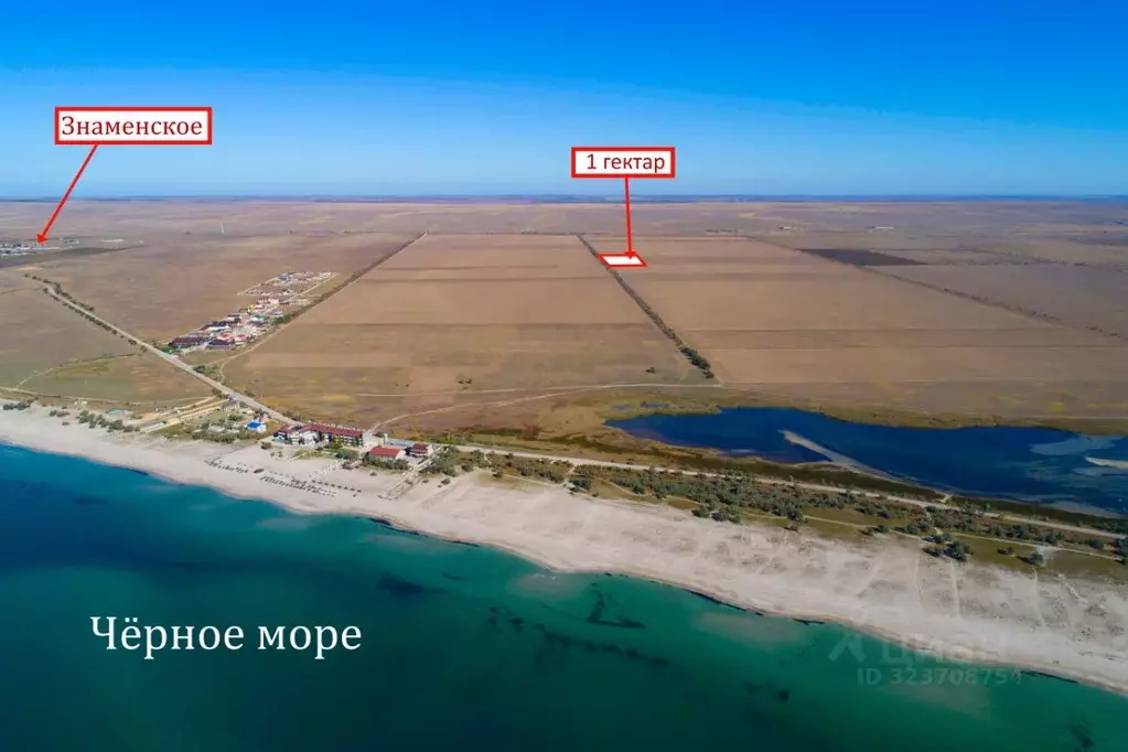 Участок в Крым, Черноморский район, Окуневское с/пос  (100.0 сот.) - Фото 1