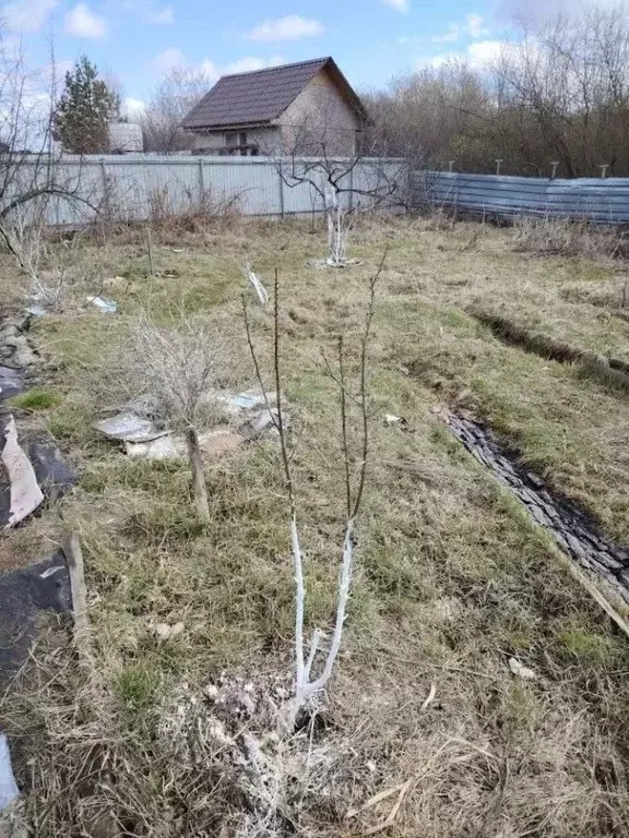Участок в Тюменская область, Тюмень СОСН Корабельщик тер., ул. ... - Фото 1